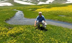 4 Mevsimin Bir Arada Yaşandığı Yayla: Nebirnav