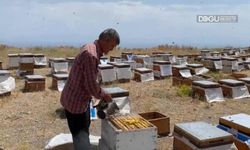 Süphan Dağı Eteklerinde Bal Sağımı Başladı