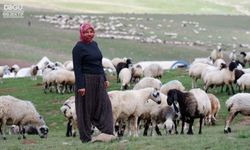 Dumlu Dağı'nda Göçerlerin Zorlu Yayla Hayatı