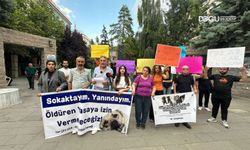 Yeni Hayvan Yasasına Tepki: "Yasalarla Öldürmeyin, Yaşatın!"