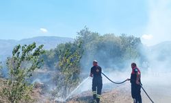 Erzincan'da Anız Yangını