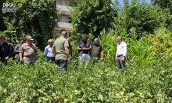 Hakkari'nin Verimli Toprakları Değerlendirilecek