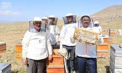 Iğdır'da Bal Hasadı Başladı.. Vali Turan Sağıma Katıldı