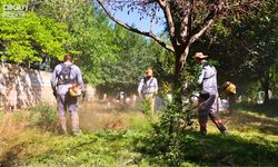 Iğdır Belediyesi Park ve Yeşil Alanların Bakımını Aralıksız Sürdürüyor