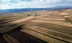 İşlenmeyen Tarım Arazileri Çiftçilere Kiralanacak