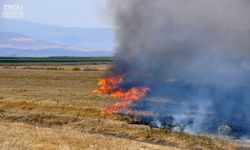 Anız Yakma Sorunu Devam Ediyor: Uzmanlardan Önemli Uyarılar