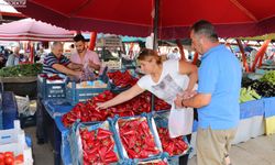 Erzincan’da Salça Telaşı: Pazarlarda Hareketlilik Başladı