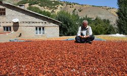 Hakkari'de üreticilerin kurutmalık mesaisi başladı