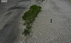 Iğdır’daki Bazı Sulak Alanlar Kurudu.. Küresel Kuraklık Iğdır'da Ağır Şekilde Hissediliyor