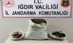 Iğdır’da Uyuşturucu Operasyonu