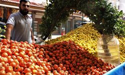 Sonbaharın aromatik meyvesi ‘alıç’ tezgahtaki yerini aldı