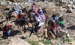 Berivanların Zorlu Yayla Yolculuğu