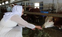 Van'ın güçlü kadın girişimcisi kendi markasını kuruyor