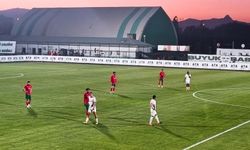 Amedspor Oynadı, Pendik Kazandı