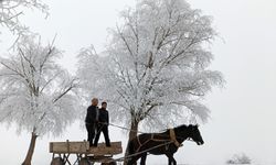 Türkiye’nin en soğuk yeri Doğu Anadolu'da kaydedildi.. işte o soğuk yer?