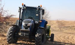 Elazığ’da organik mercimek üretimi artıyor