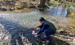 Erzincan’da nitrat kirliliği izleniyor