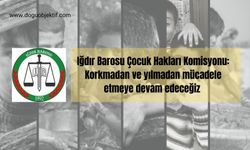 Iğdır Barosu Çocuk Hakları Komisyonu: Korkmadan ve yılmadan mücadele etmeye devam edeceğiz