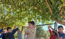 Silvan'da kuş yuvaları ile ekosisteme katkı