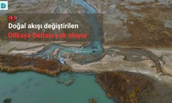 Doğal akışı değiştirilen ‘Dilkaya Deltası' yok oluyor