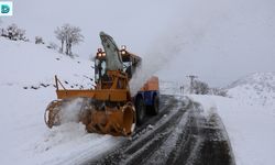 Doğu Anadolu'da Beyaz Esaret: Yağış Sonrası Çoğu Köy ve İlçeye Ulaşım Kapandı