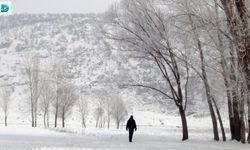 Erzincan, Erzurum ve Ardahan İçin Kar Yağışı Uyarısı