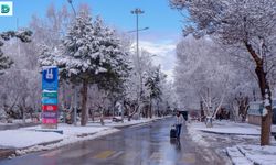 Atatürk Üniversitesi’nden Bilimsel Bir Çalışmanın Çarpıcı Sonuçları