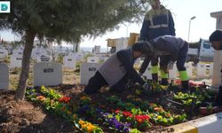 Adıyaman'da Mezarlıkta Bakım Çalışması Yapılıyor