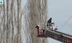 Dron Ağaçlara Takılınca Yardıma İtfaiye Ekipleri Geldi