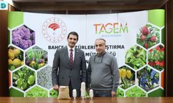 Erzincan'a Özgü İki Adet Kuru Fasulye Cinsi Tescil Yolunda