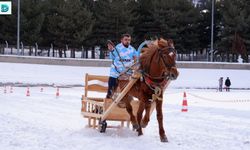 Erzurum'da Atlı Kızak Heyecanı