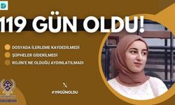 Rojin Kabaiş için X’te ‘#119gunoldu’ Kampanyası