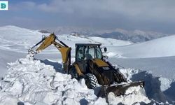 Şırnak'ta Kar Esareti Sürüyor