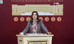 "DEM Parti'den Kayyım Atamalarına İtiraz: 'Bu Bir Sivil Darbedir'"