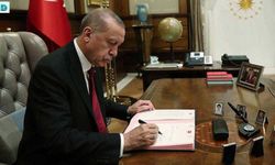 Erdoğan, İki Başdanışman Atadı