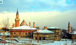 Erzurum'dan 5 Ürün İçin Daha Coğrafi İşaret Başvurusu