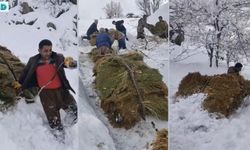 Hakkari Derecik’te Besicilerin Zorlu Kış Mesaisi