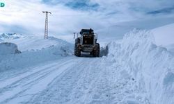 Hakkari'de 2 Yerleşim Yerine Çığ Uyarısı