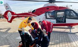 Hamile Kadın Ambulans Helikopter İle Van'a Getirildi