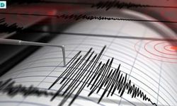 İzmir'in Dikili İlçesinde 4 Büyüklüğünde Deprem