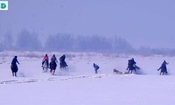 Erzurum'daki At Yarışlarında Korkutan Kaza