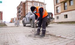 Elazığ’da İlaçlama Çalışmaları Sürüyor