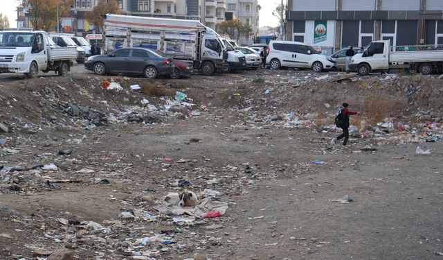 Iğdır’daki boş arsalar çocuklar için tehlike saçıyor