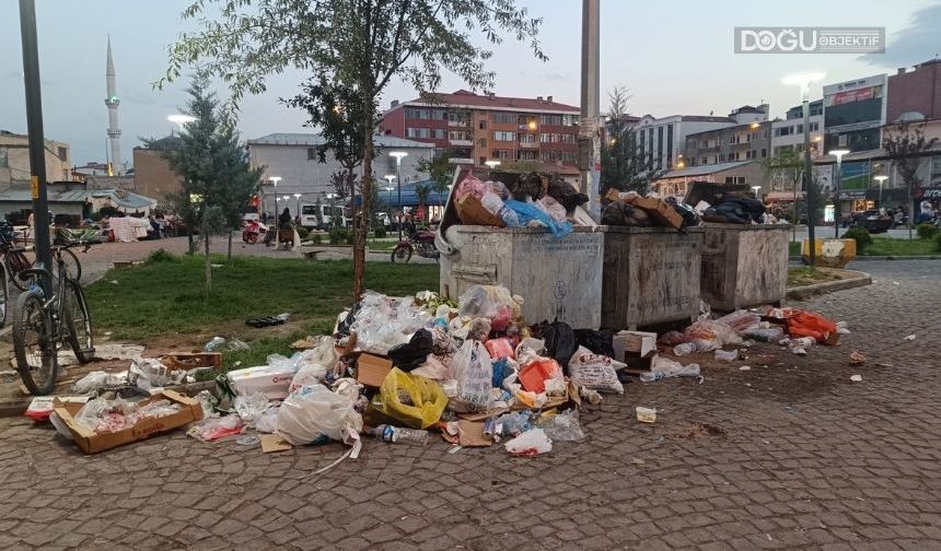 Iğdır'da Çöp Sorunu Büyüyor: Çözüm İçin Adım Atılmıyor