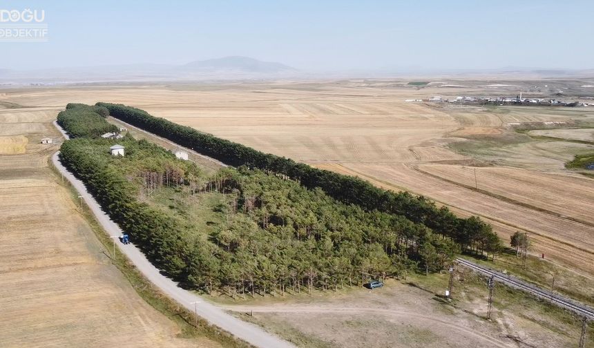 Bozkırın Ortasında Bir Vaha Gibi: Tren İstasyonu Sonbahar Güzelliğine Büründü