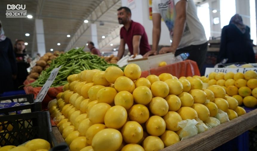 Erzincan’da Limon Fiyatları 90 Liradan 30 Liraya Düştü