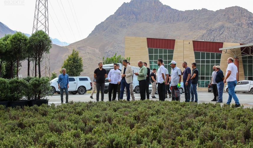 Vali Çelik: Daha yeşil bir Hakkari için çalışıyoruz