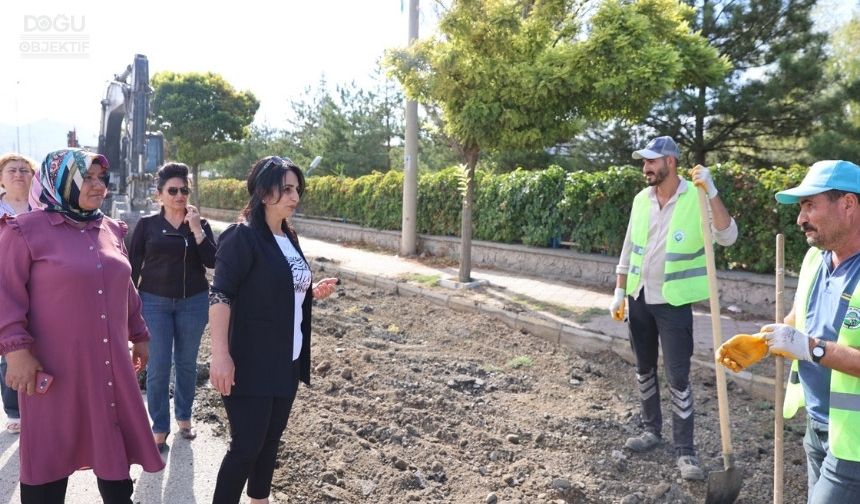 Halfeli Yolu Asfaltlama Çalışmaları Sürüyor