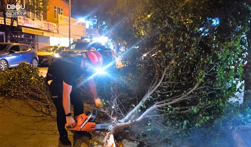 Iğdır Atatürk Caddesi’nde Trafiğe Engel Olan Ağaçlar Uygun Şekilde Traşlandı