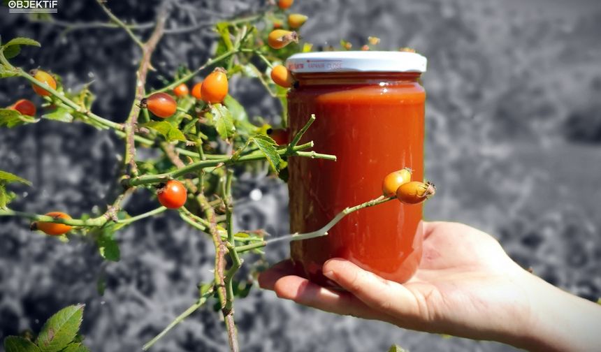 Kuşburnu marmelat olarak kavanozlara giriyor